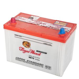 Long Durationn Car Battery (NS70 12V65AH)